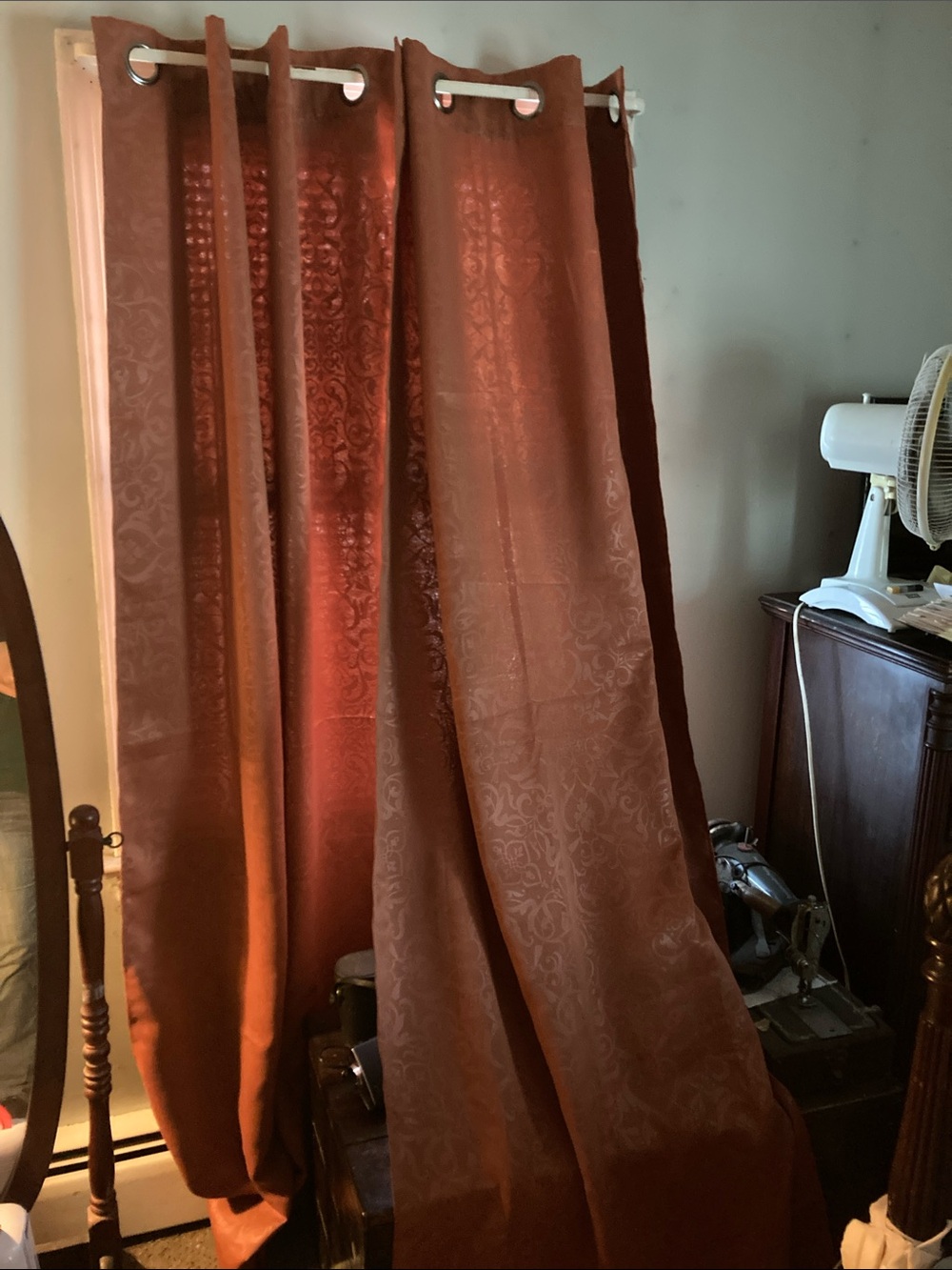 Home Expressions Jacquard Grommet Curtain Panel in Rust